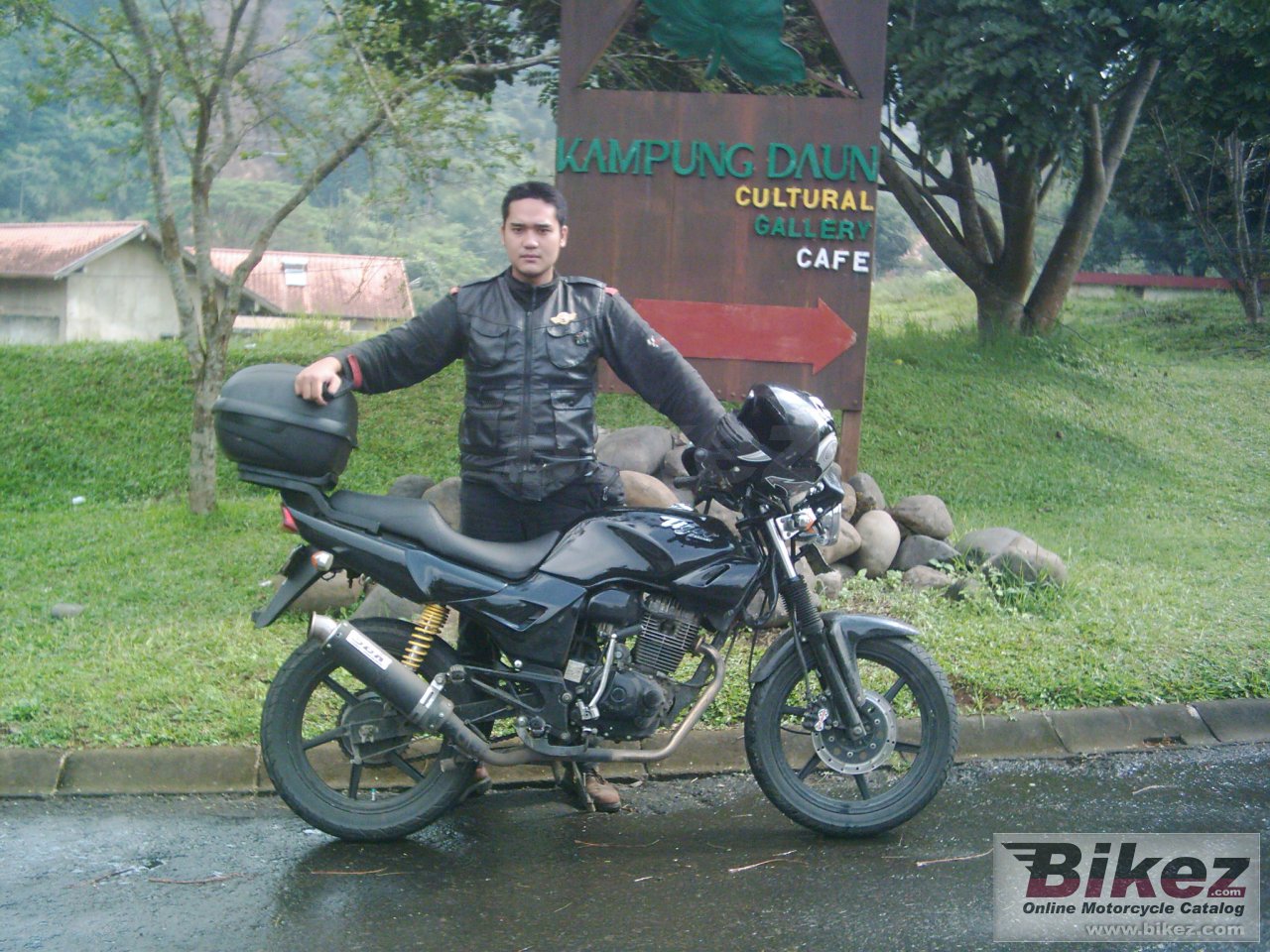 Big ger 2000 tiger 2000 picture and wallpaper from Bikez.com